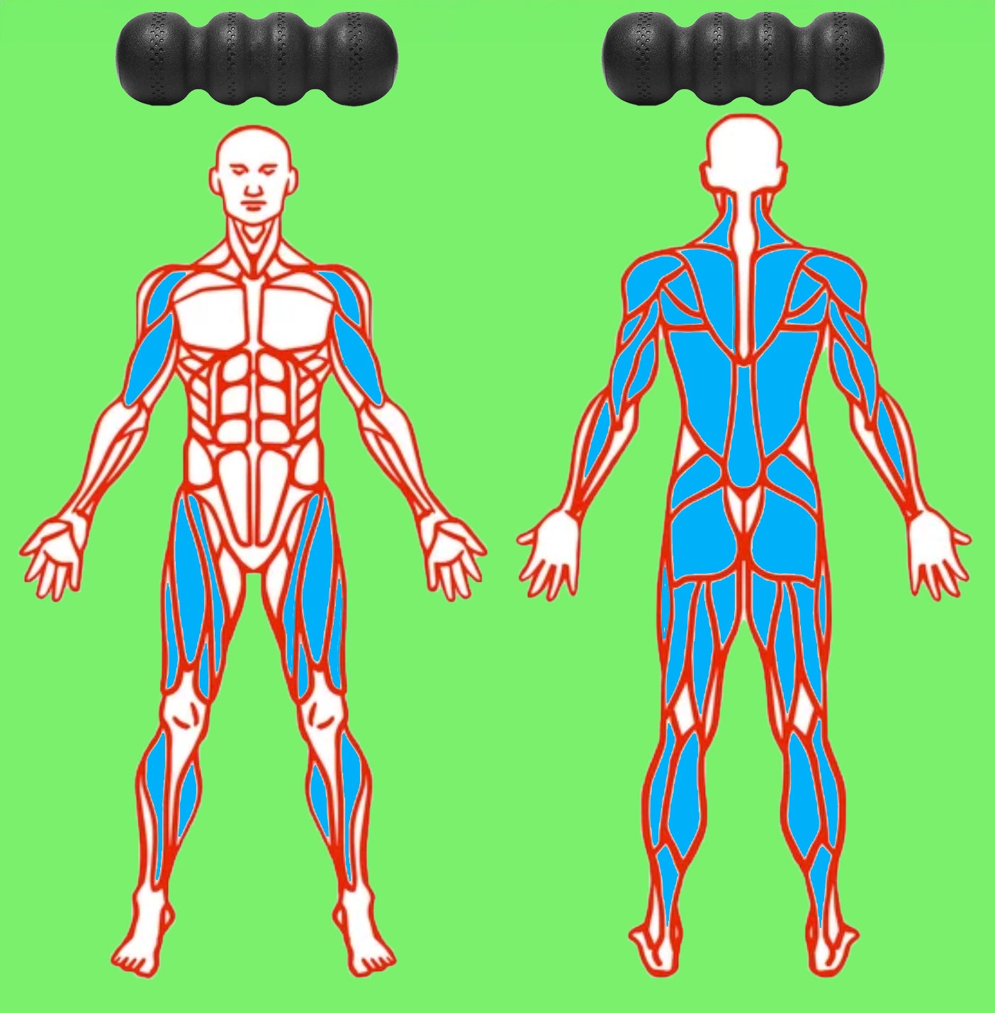 Yoga Foam Roller